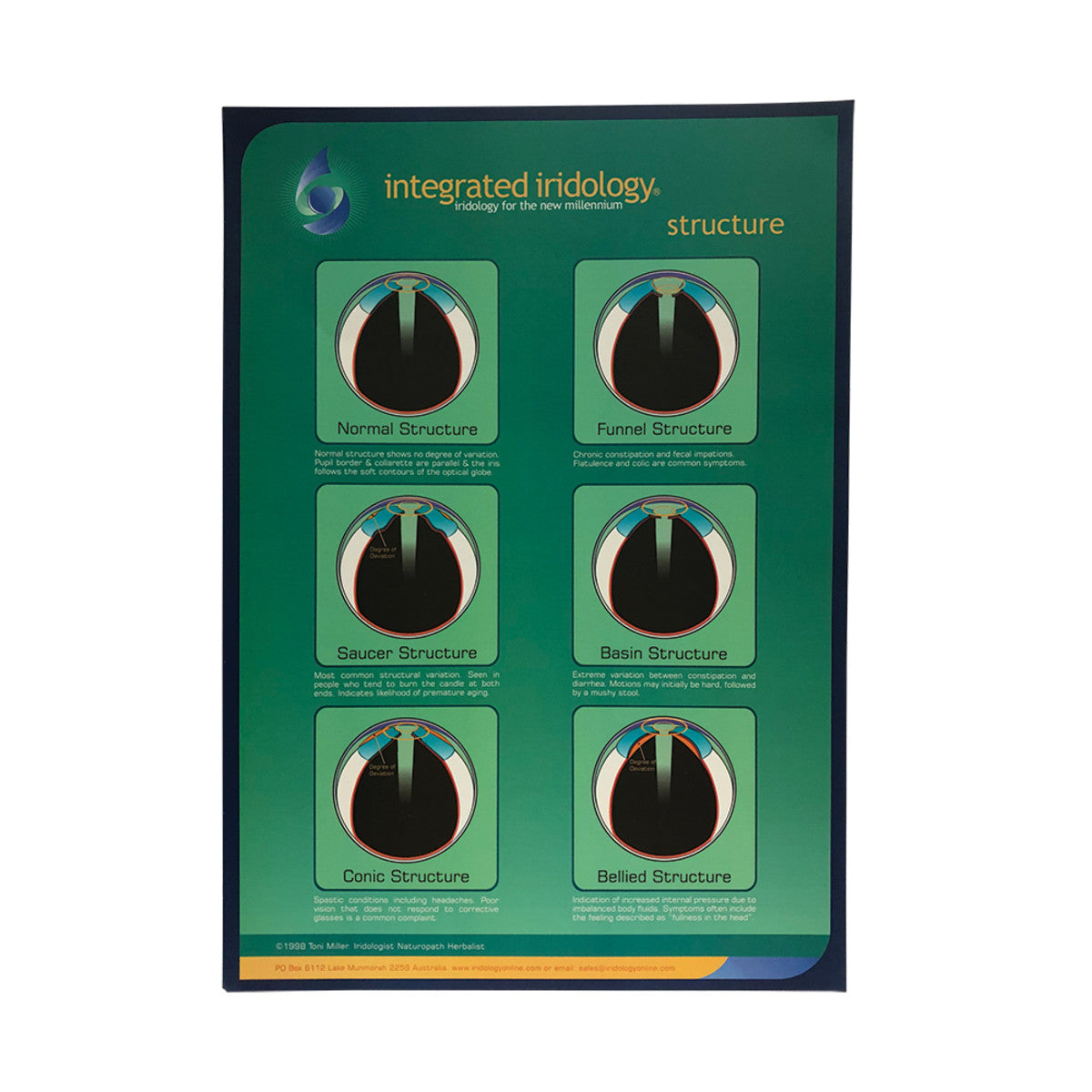 Integrated Iridology Poster Chart Structure