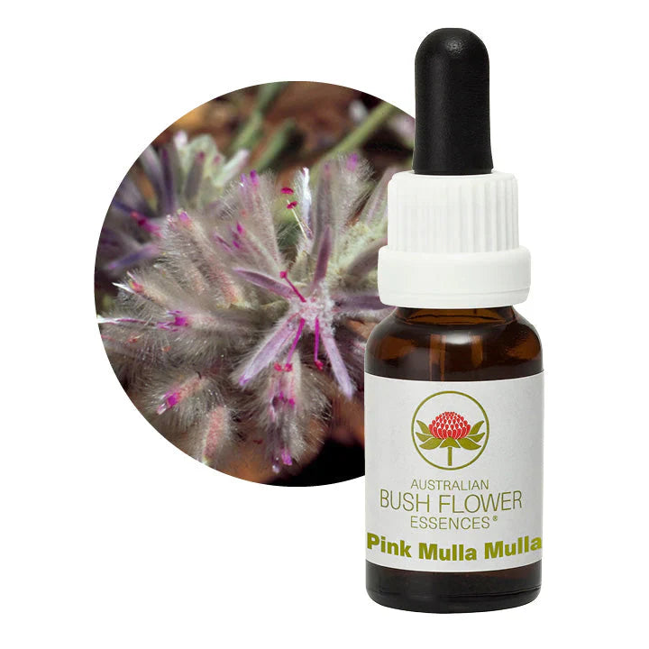 Australian Bush Flower Essences Pink Mulla Mulla 15ml