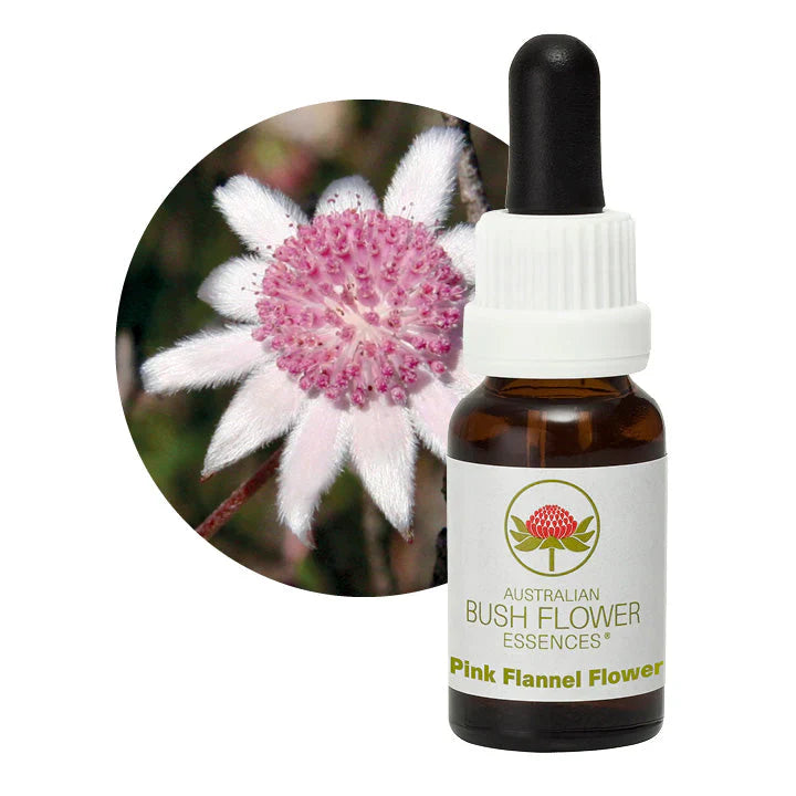 Australian Bush Flower Essences Pink Flannel Flower 15ml