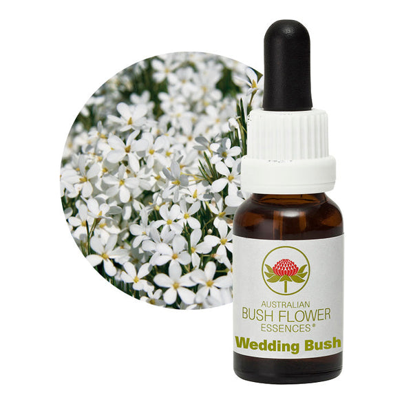 Australian Bush Flower Essences Wedding Bush 15ml