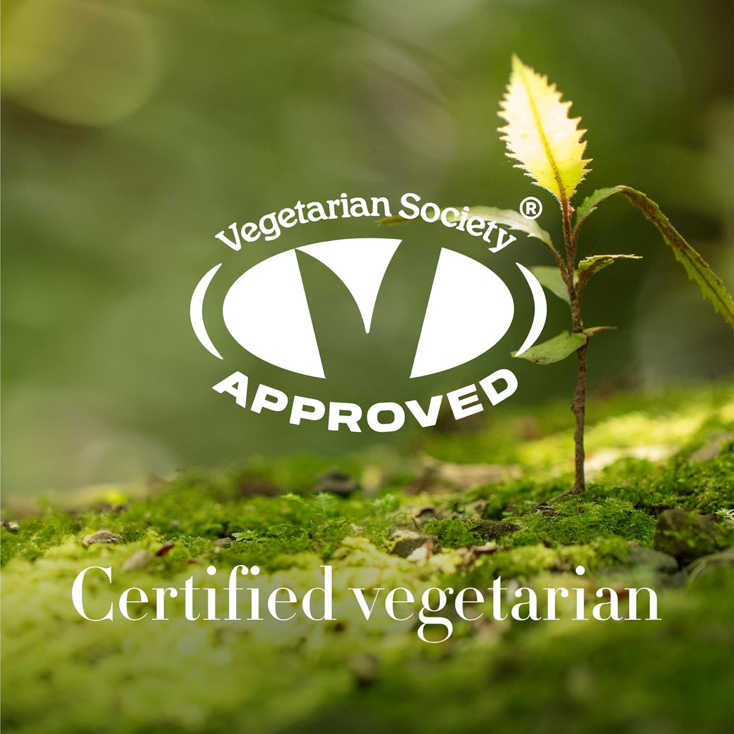 Antipodes Ceramide Souffle Fresh Hydration Cream 60ml