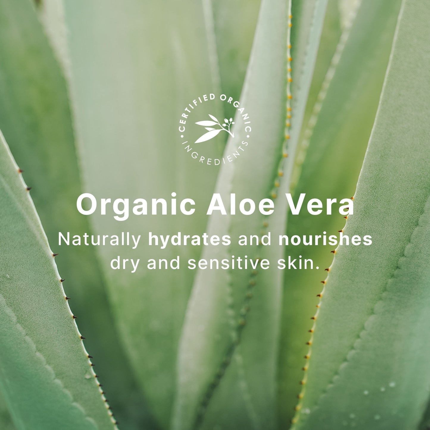 WOTNOT Baby Shampoo Refill Suitable For Sensitive Skin 500ml