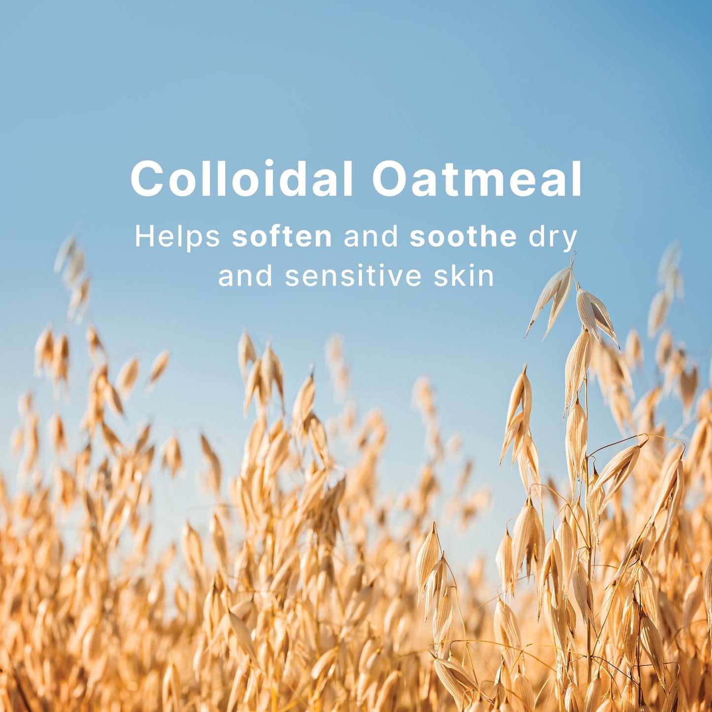 WOTNOT Baby Shampoo Refill Suitable For Sensitive Skin 500ml