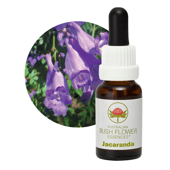 Australian Bush Flower Essences Jacaranda 15ml