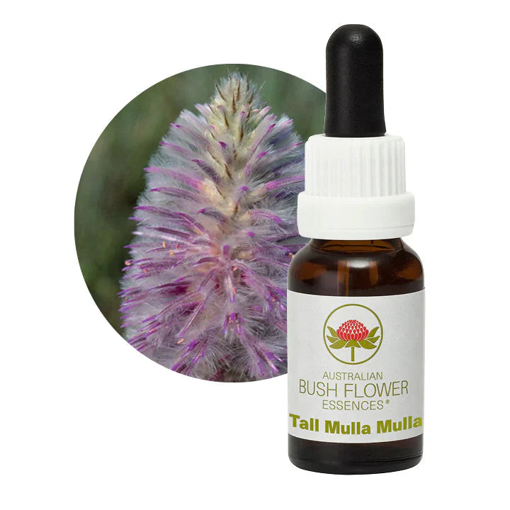 Australian Bush Flower Essences Tall Mulla Mulla 15ml